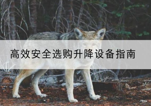 金坛升降货梯厂家推荐-*安全选购升降设备指南