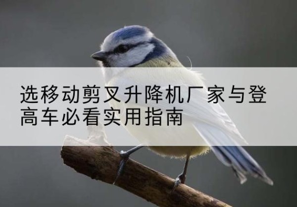 金坛电动升降机厂家-选移动剪叉升降机厂家与登高车必看实用指南