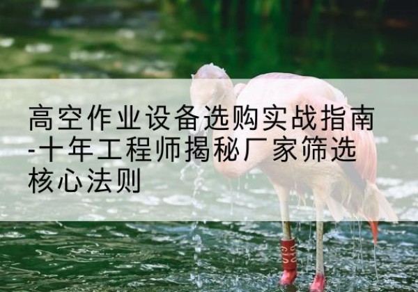 金坛剪叉式升降机厂家-高空作业设备选购实战指南-十年工程师揭秘厂家筛选核心法则