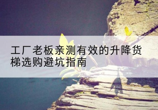 金坛升降货梯怎么选-工厂老板亲测有效的升降货梯选购避坑指南